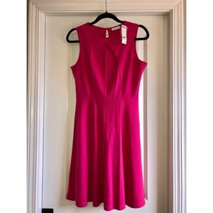 💕NWT💕 New York & Company Cotton Dress